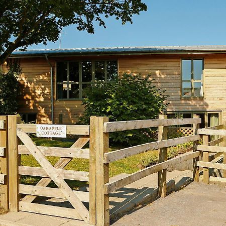 Oak Apple Villa Newton Abbot Exterior photo
